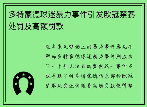 多特蒙德球迷暴力事件引发欧冠禁赛处罚及高额罚款